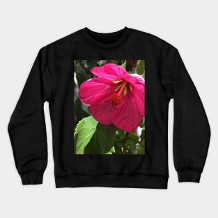 The Shy and Tender Pink Flowering Maple Crewneck Sweatshirt